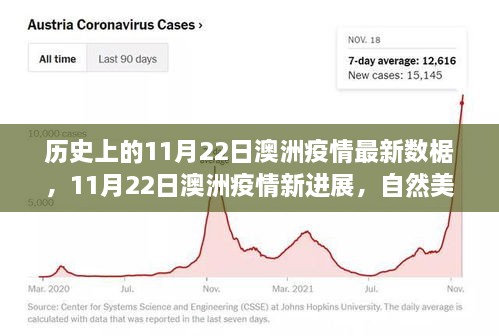 澳洲疫情最新进展与心灵宁静之旅，自然美景探寻记