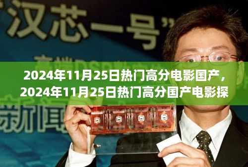 观众视角下的成功解密，2024年11月25日国产高分电影探析