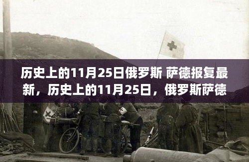 历史上的11月25日俄罗斯萨德报复行动最新详解与指南