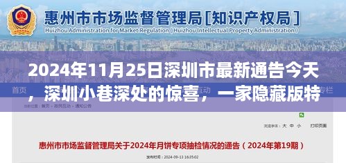 深圳小巷深处的惊喜，隐藏版特色小店的独特魅力（2024年11月25日最新通告）