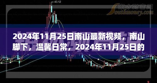 南山脚下温馨日常，2024年11月25日的快乐时光