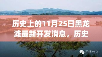 2024年11月 第142页