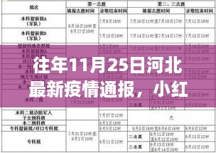 河北历年疫情通报回顾，防疫措施与日常防护指南（往年1月与往年11月数据）