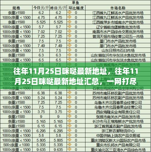 往年11月25日咪哒最新地址大全，最新信息汇总与一网打尽