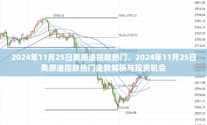 2024年11月25日美原油指数热门走势解析与投资机会探讨