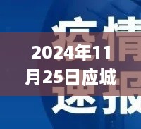 2024年11月25日应城疫情最新动态及防控进展热点解读与案例分析