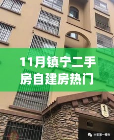 11月镇宁二手房自建房市场热门解读与分析