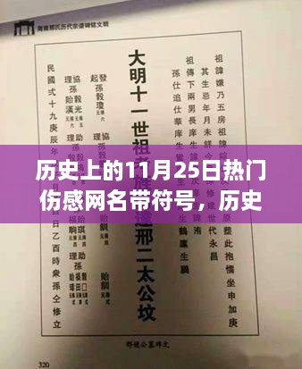 历史上的11月25日伤感网名背后的故事与符号，那些令人心痛的回忆与纪念