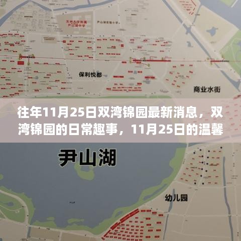 双湾锦园11月25日日常趣事与最新消息回顾，温馨时光里的精彩瞬间