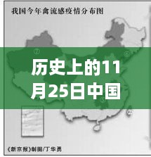 历史上的11月25日中国疫情深度解析与全面评测