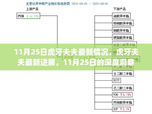 11月25日深度洞察，虎牙夫夫最新进展与情况