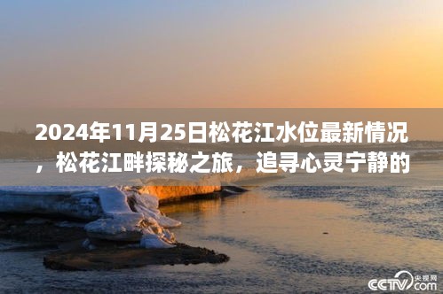 松花江畔探秘之旅，最新水位报告与追寻心灵宁静之旅的奇妙体验