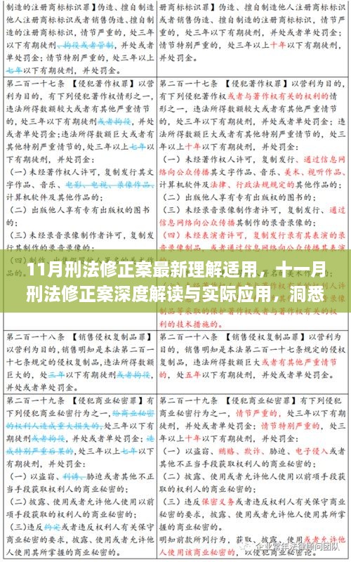 十一月刑法修正案，理解适用与深度解读，引领法治新时代