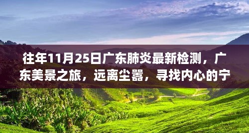 广东美景之旅，探寻内心宁静与肺炎检测背后的故事（往年11月25日最新检测）