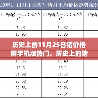 历史上的猪价格网手机版热门回顾，11月25日的独特地位与影响