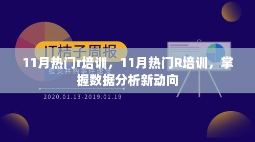 掌握数据分析新动向，热门R培训助力你的职业发展（11月版）