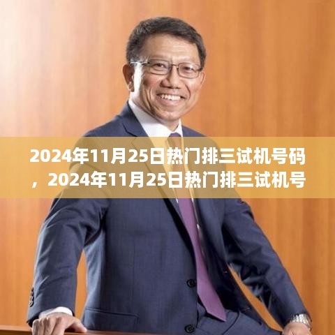 心灵与自然的奇妙之旅，揭秘2024年11月25日热门排三试机号码