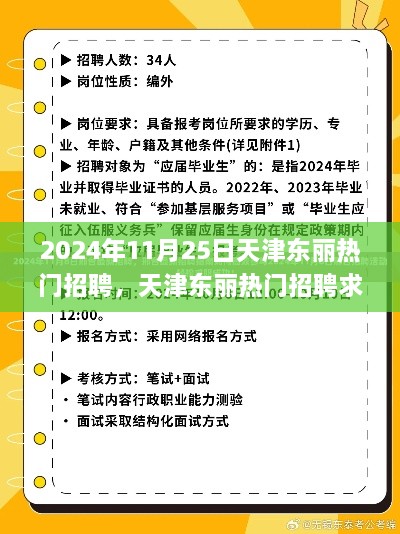 天津东丽热门招聘求职全攻略，成功应聘心仪职位的秘诀（2024年11月25日）