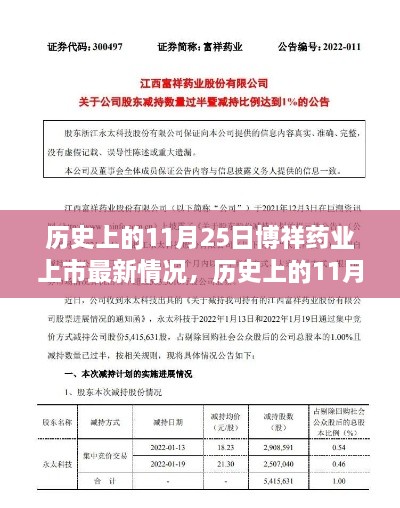 历史上的11月25日博祥药业上市情况详解及操作指南，最新动态与操作建议