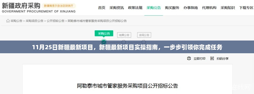 新疆最新项目实操指南，11月25日启动，一步步引领你完成任务的实践指南