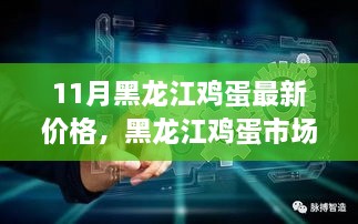 黑龙江鸡蛋市场科技浪潮来袭，最新智能监测系统与实时价格更新