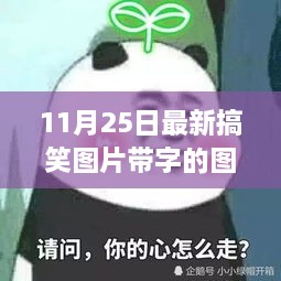 独家分享！11月25日超搞笑带字图片大放送，笑到肚子疼的美图来袭！