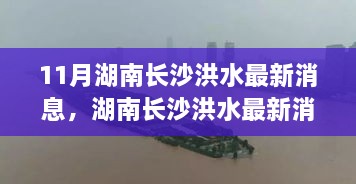 湖南长沙洪水最新动态，深度评测与用户体验分析，竞品对比揭秘