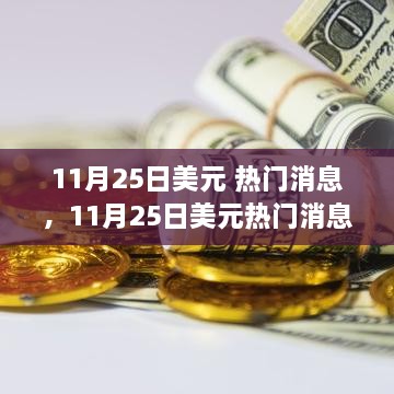 11月25日美元热门消息背后的金融波动与观点碰撞