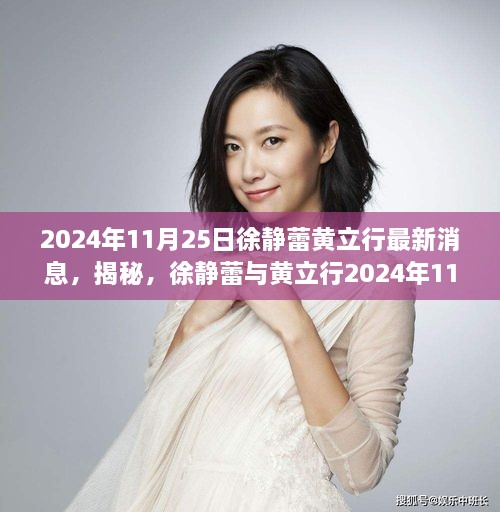 徐静蕾与黄立行最新动态揭秘，2024年11月25日的最新消息