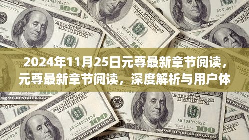 2024年11月25日元尊最新章节阅读深度解析与用户体验报告