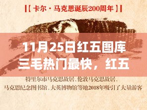 11月25日红五图库三毛热门解析，特性、体验与竞品对比