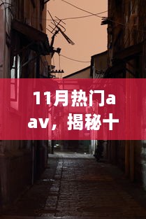 11月热门aav，揭秘十一月巷弄秘境，隐藏在都市小巷中的特色AAV小店