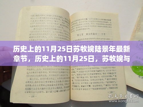 历史上的11月25日，苏牧婉与陆景年的最新章节及其时代影响力揭秘