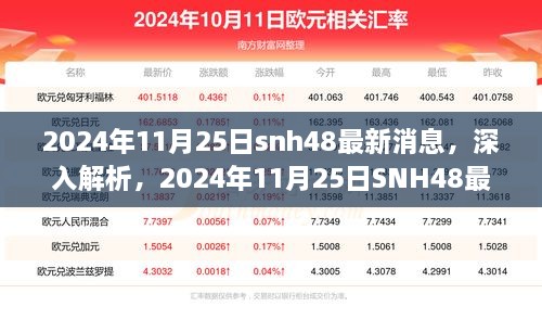 独家解析，SNH48 2024年11月25日最新动态，特性详解、用户体验与目标用户群体深度剖析