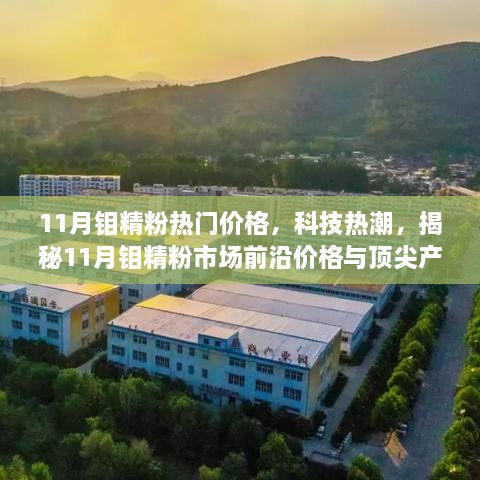 揭秘11月钼精粉市场前沿价格与顶尖产品体验，科技热潮引领新行情