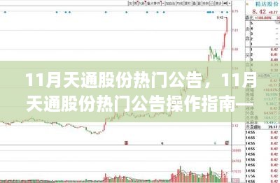 11月天通股份热门公告及操作指南，从新手到精通的全方位指导