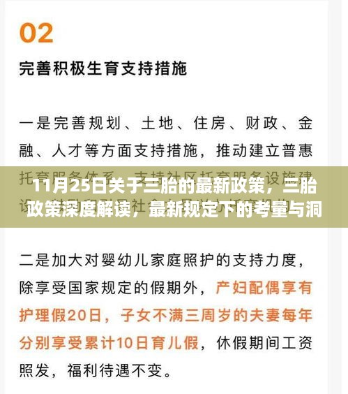 三胎政策深度解读，最新规定下的考量与洞察，11月25日最新动态分析