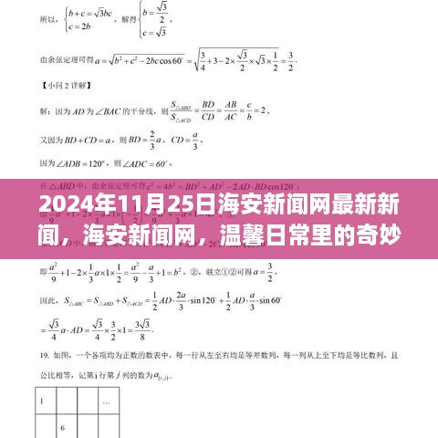 海安新闻网温馨日常中的奇妙际遇与深厚友情报道（最新更新）