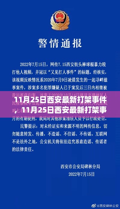 11月25日西安打架事件，深度解析原因与影响