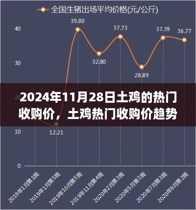 2024年11月28日土鸡热门收购价趋势展望