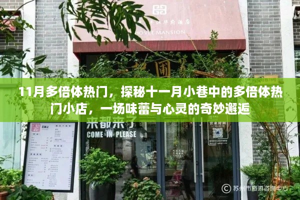 探秘十一月小巷多倍体热门小店，味蕾与心灵的奇妙相遇