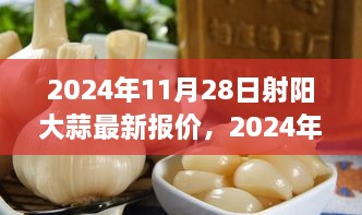 2024年射阳大蒜最新报价及购买指南