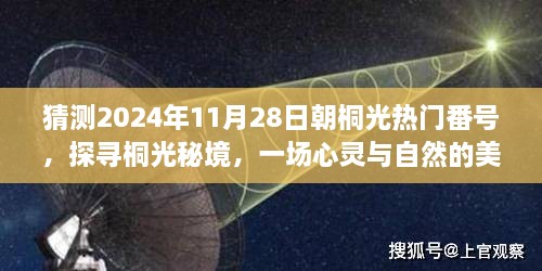 探寻桐光秘境，预测2024年热门旅行地桐光的神秘魅力与心灵邂逅