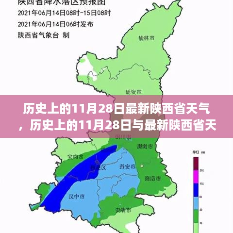 2024年11月 第62页