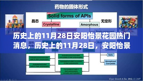 历史上的11月28日，安阳怡景花园的瞩目瞬间与热门消息回顾