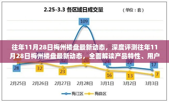 往年11月28日梅州楼盘最新动态深度解析，产品特性、用户体验与目标用户群体分析全解读