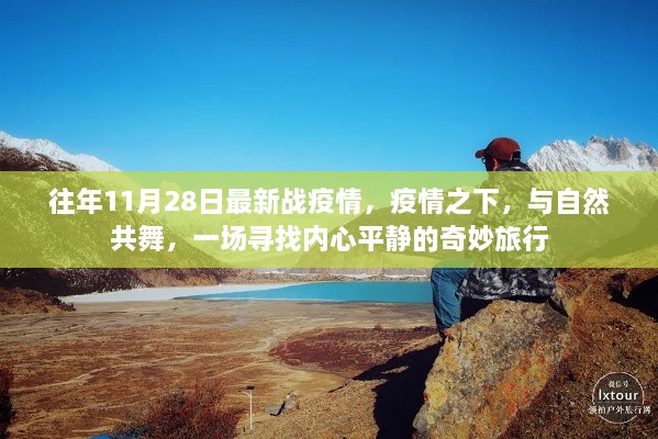 疫情之下的心灵之旅，与自然共舞，寻找内心平静的奇妙冒险