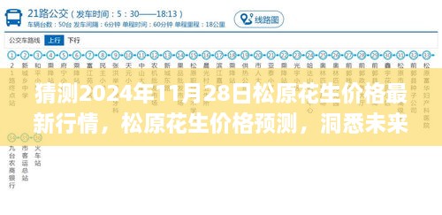 松原花生价格预测，洞悉未来行情趋势，最新数据揭示2024年松原花生市场走向