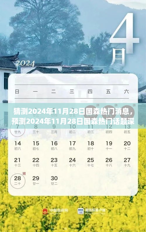 深度解析，预测国森在2024年11月28日的热门消息与话题展望