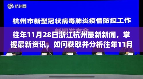 往年11月28日浙江杭州新闻回顾，最新资讯获取与分析